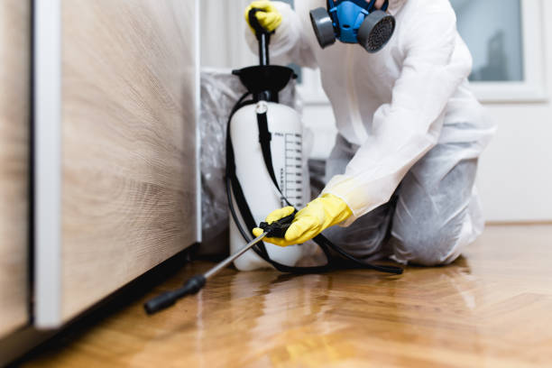 Best Local Pest Control Services  in Britton, SD