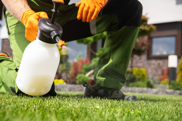 Best Insect Control  in Britton, SD