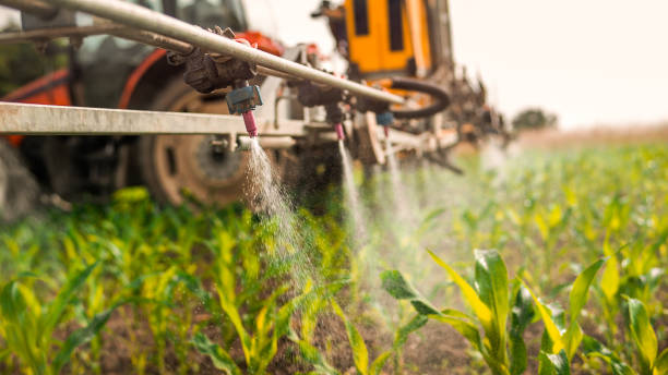 Best Affordable Pest Control Services  in Britton, SD