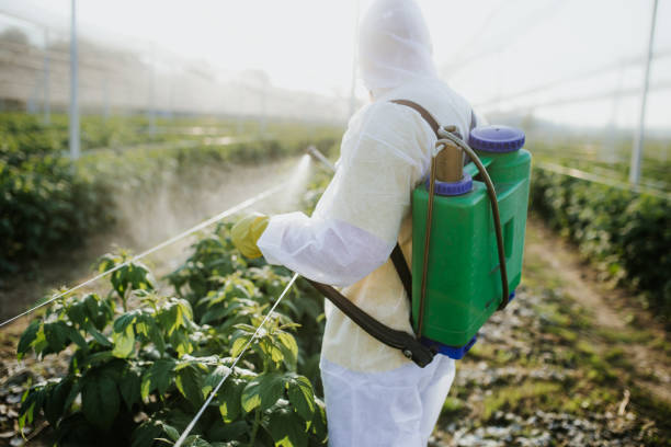Best Flea Control Services  in Britton, SD